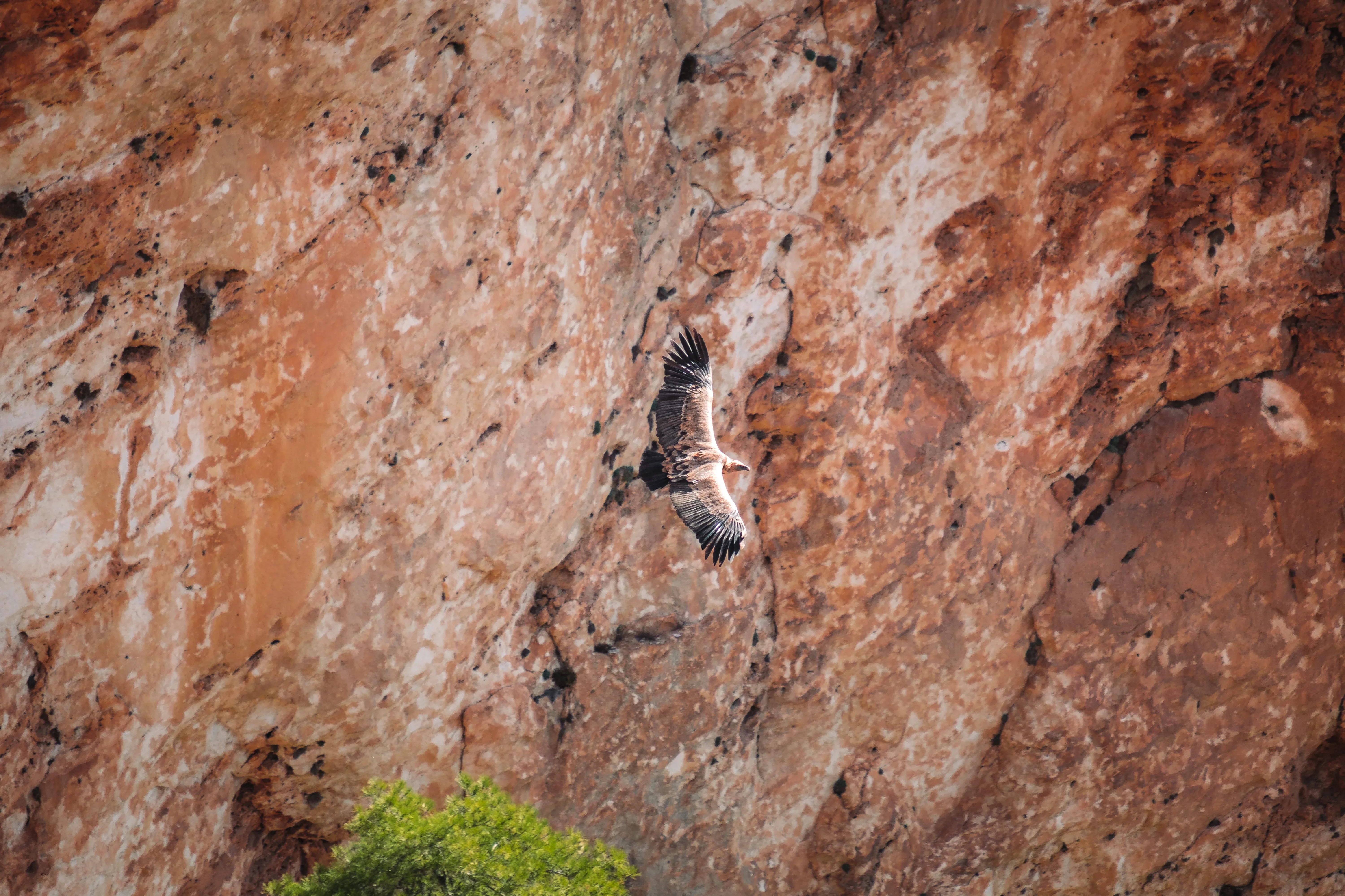 Spain, photo 12